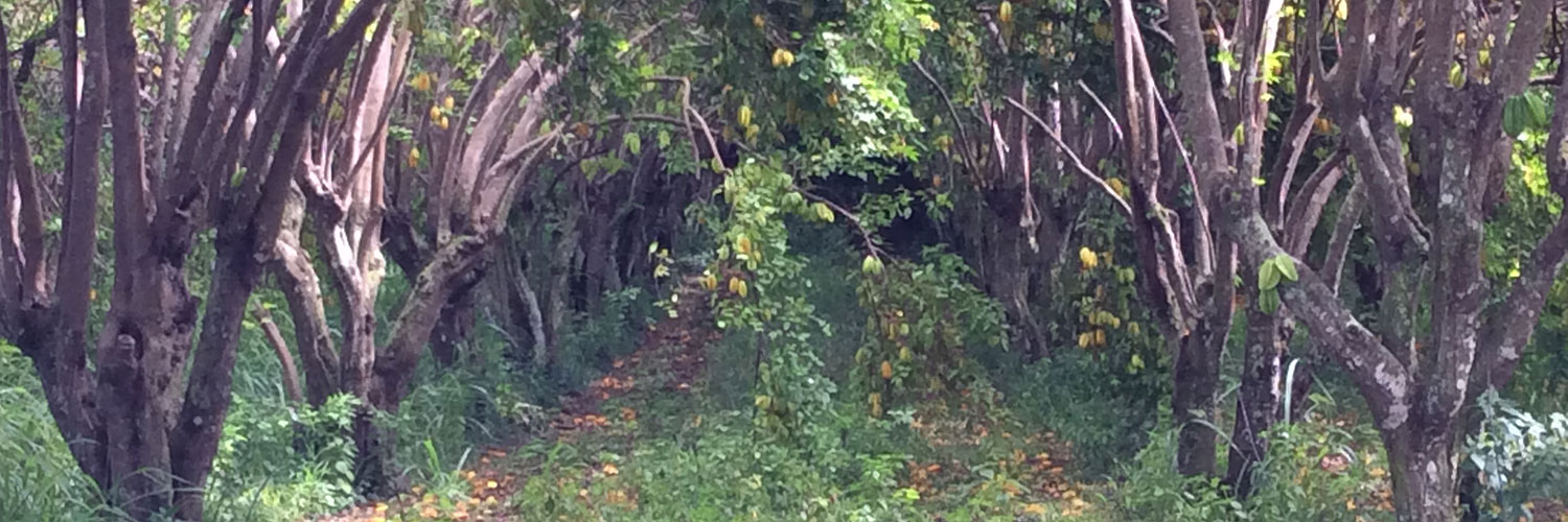 Touching The Earth Farm photo 18